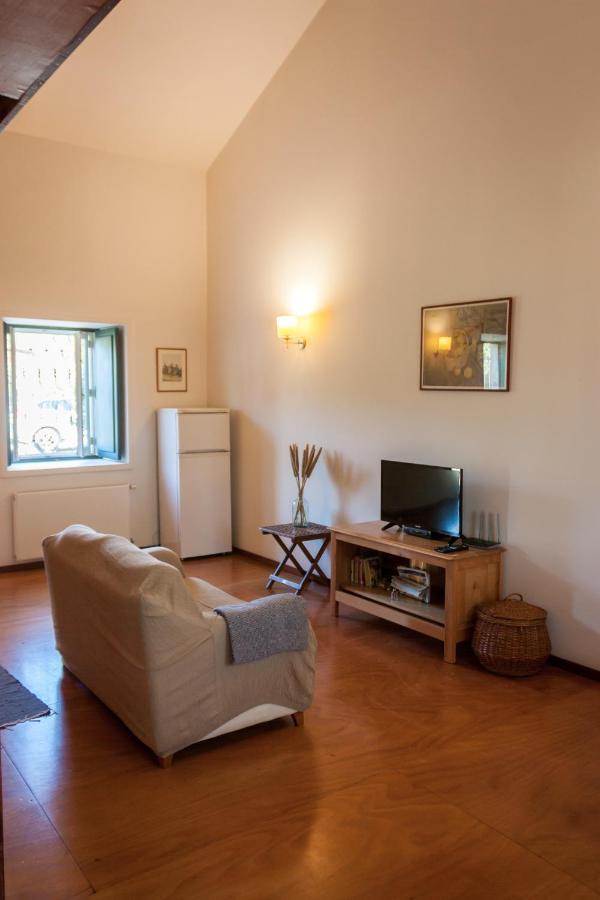 Cozy Classic Apartments 4 - Palácio da Quinta da Portela Coímbra Exterior foto